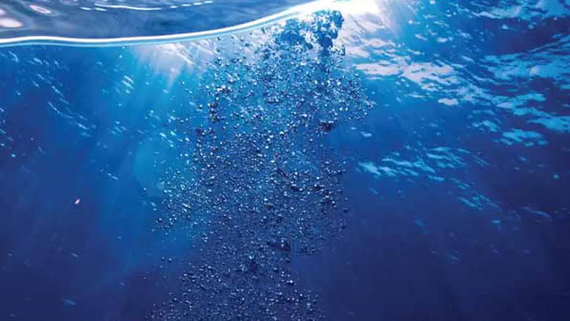 A global meta-analysis of ecological functions and regulating ecosystem services of freshwater bivalves