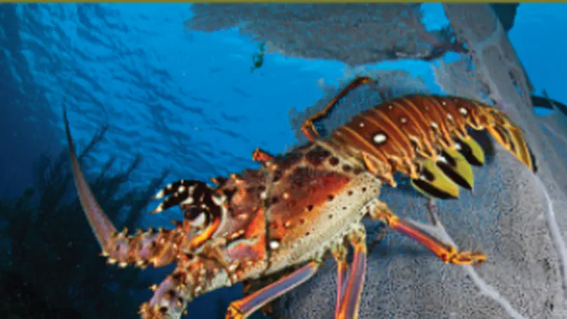 Distribution, scale, and drivers of mass mortality events in Europe's freshwater bivalves