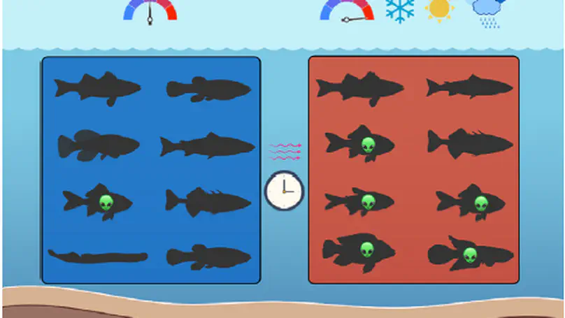 Influence of climate change and extreme weather events on an estuarine fish community