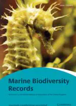 Unusual colour patterns of territorial damselfish (Pomacentridae: Stegastes) in the south-western Atlantic